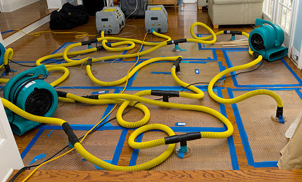 Professional Sewage Cleanup technician working in Telephone, TX
